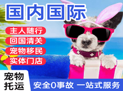 新郑航空快运国际宠物托运 【国